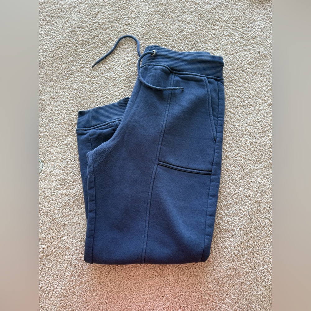 Banana Republic Navy Blue Jogger Pants